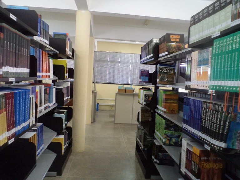 biblioteca.jpeg