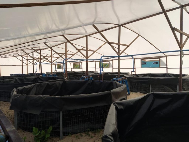 WhatsApp Image 2020-11-10 at 09.21.35.jpeg