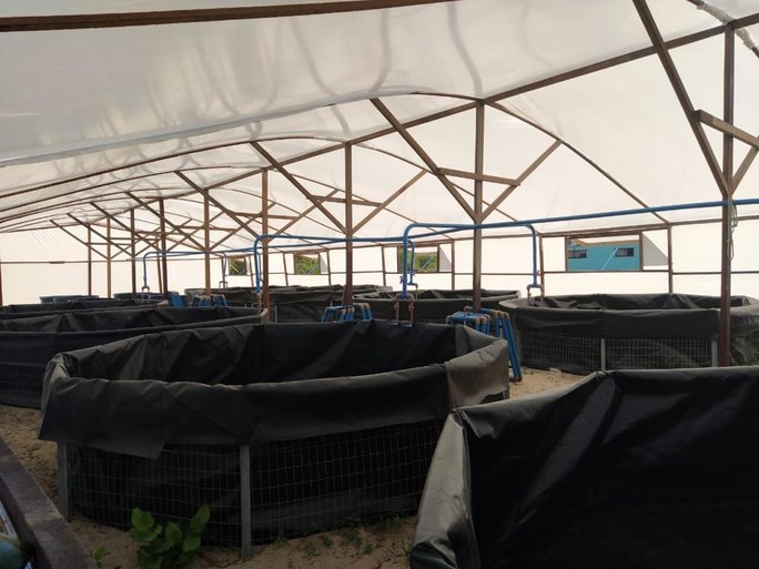 WhatsApp Image 2020-11-10 at 09.21.35.jpeg