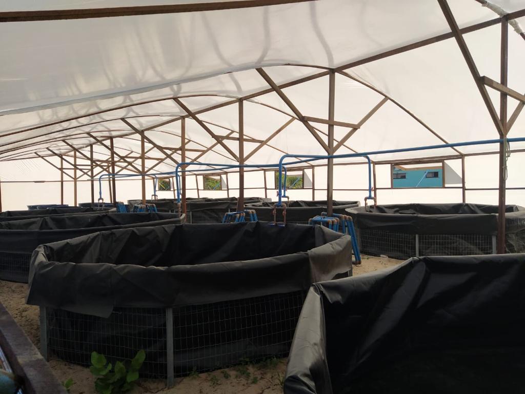 WhatsApp Image 2020-11-10 at 09.21.35.jpeg