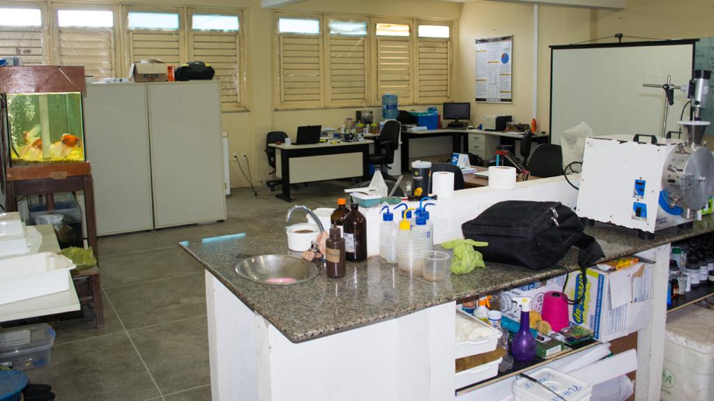 WhatsApp Image 2020-11-10 at 09.23.25 (1).jpeg