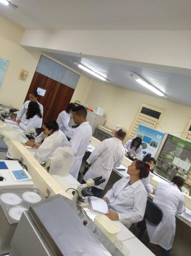 meio ambiente 2.jpeg