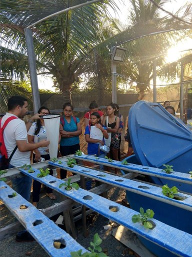 meio ambiente 3.jpeg