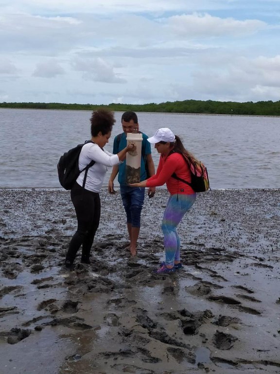 meio ambiente 4.jpeg