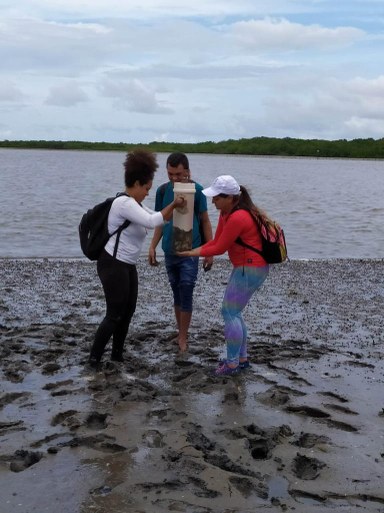 meio ambiente 4.jpeg