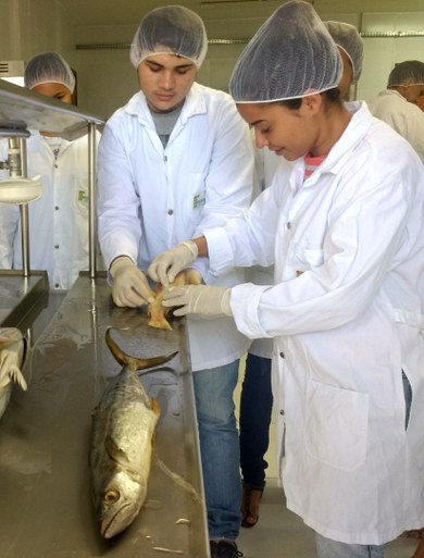 pesca 2.jpg