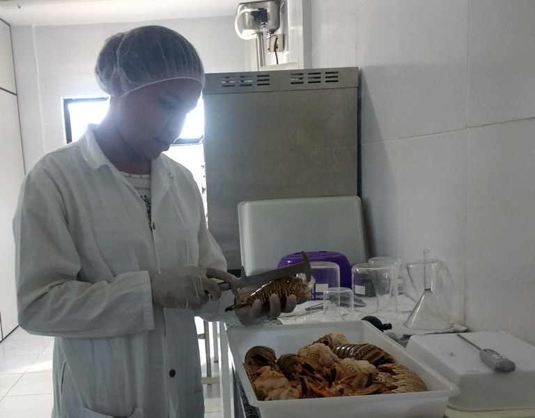 pesca 3.jpg
