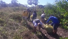 Ao todo, foram coletados mais de 40 sacos de lixo