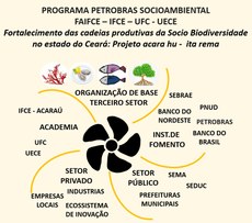 Esquematização do projeto