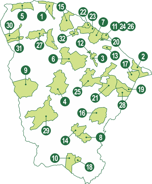 MAPA NUMERADO opção 1.png