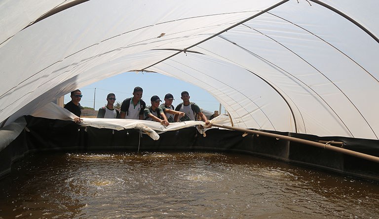 Técnico em Aquicultura
