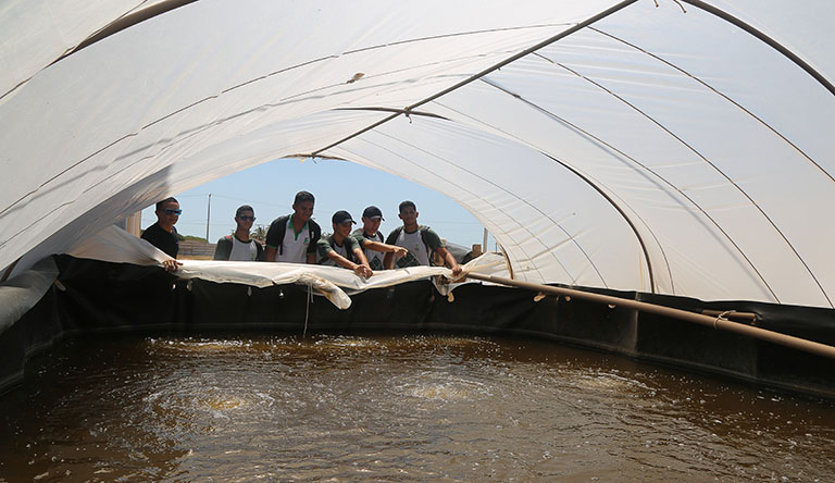 Técnico em Aquicultura