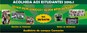 Banner da acolhida dos discentes