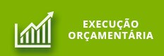 execucao-orcamentaria.jpg