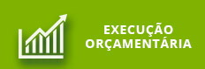 execucao-orcamentaria.jpg