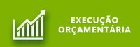 Execução Orçamentária