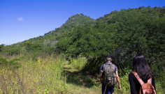 Aula de campo na trilha do Salgado.png