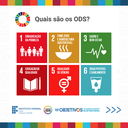 agenda-ods-2030-ifce-feed-4.png