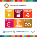 agenda-ods-2030-ifce-feed-5.png