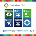 agenda-ods-2030-ifce-feed-6.png