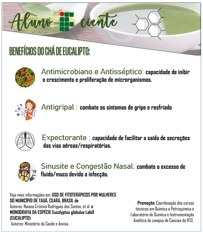 eucalipto eucalipto
