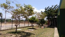 A preocupação com o verde é hábito no campus de Caucaia (Foto: Comunicação Social)