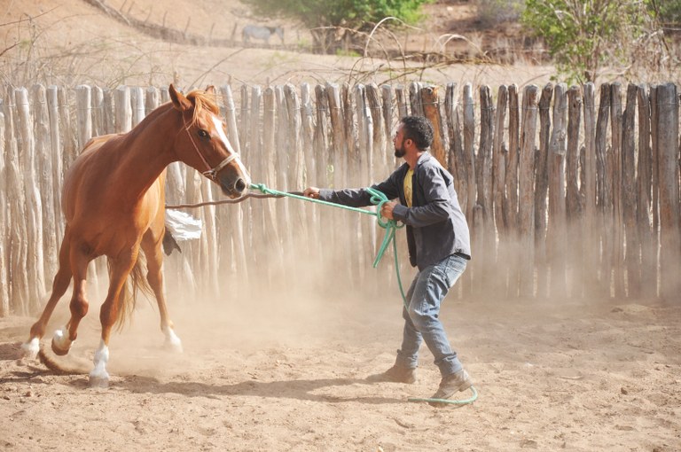 2018_01 - Curso de Extensão Doma de Equídeos - foto de Gladson Caldas - 003.JPG 2018_01 - Curso de Extensão Doma de Equídeos - foto de Gladson Caldas - 003.JPG