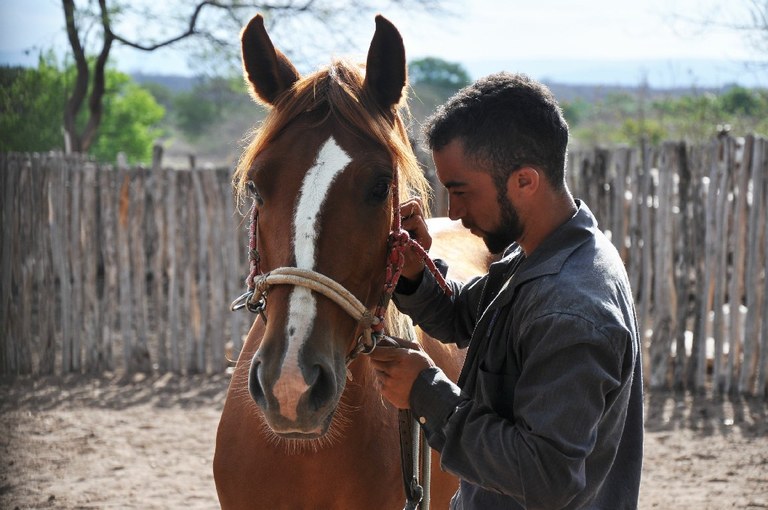 doma_equideos_05 [Largura máxima 1024 Altura máxima 768].jpg