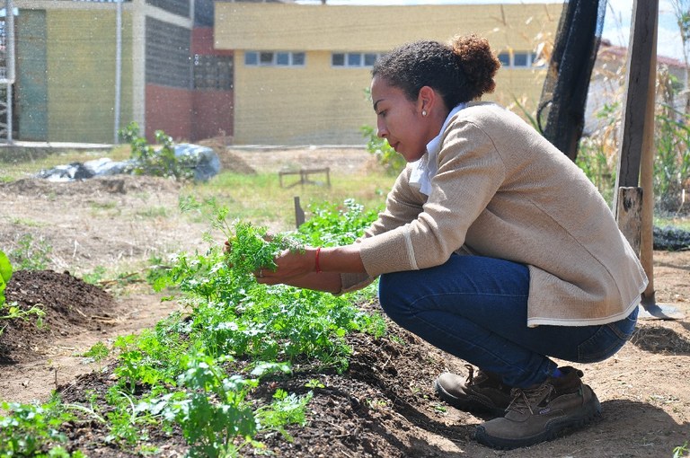 DSC_0337 [Largura máxima 1024 Altura máxima 768].jpg
