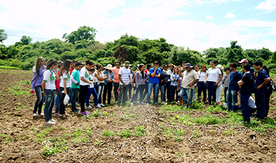 Alunos em aula de campo