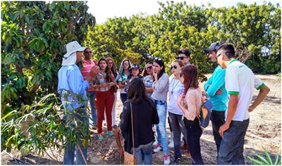 Visita técnica