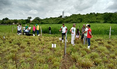Alunos aprimoram conhecimentos práticos