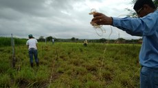 Alunos durante experimentação prática 