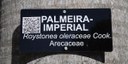 Árvores do campus receberam placas de identificação