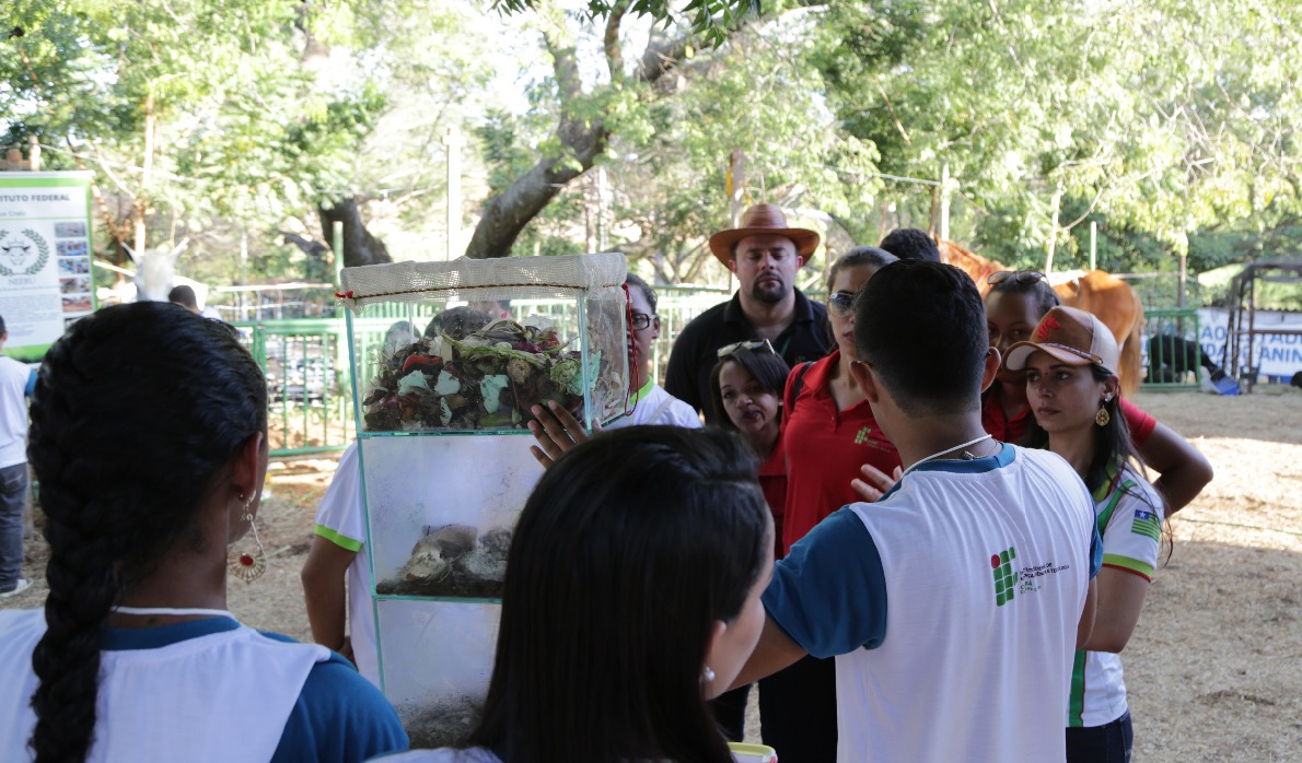 Oficina de compostagem e minhocário