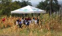Estudantes, produtores rurais e pesquisadores participaram da ação.