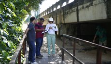 Equipe de professores realiza levantamento florístico