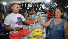 Produtores fizeram um balanço positivo das vendas