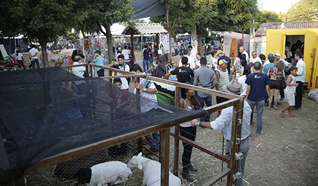Expocrato2015