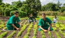 Formação técnica tem duração de 3 semestres