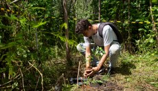 Ação no sábado (16) realizou plantio de mudas nativas