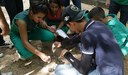 Eles fizeram uma prática com dois tipos de solo.