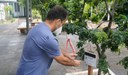 Parque Botânico do Ceará ganha expansão do Ecomapss Visitantes podem acessar informações sobre pontos identificiados