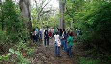 App foi oficialmente lançado com uma trilha interativa.