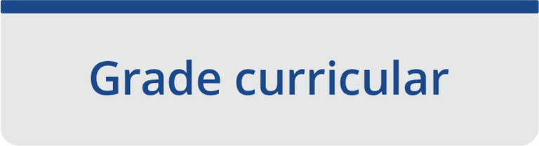 Grade curricular.png