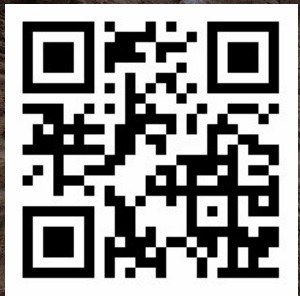 qrcode qrcode