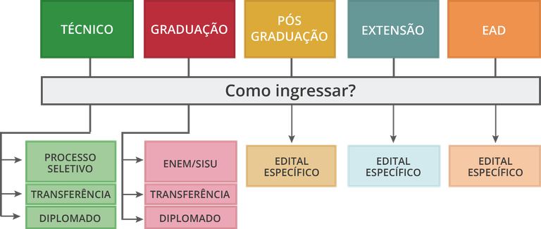 Infográfico cursos.png Infográfico cursos.png