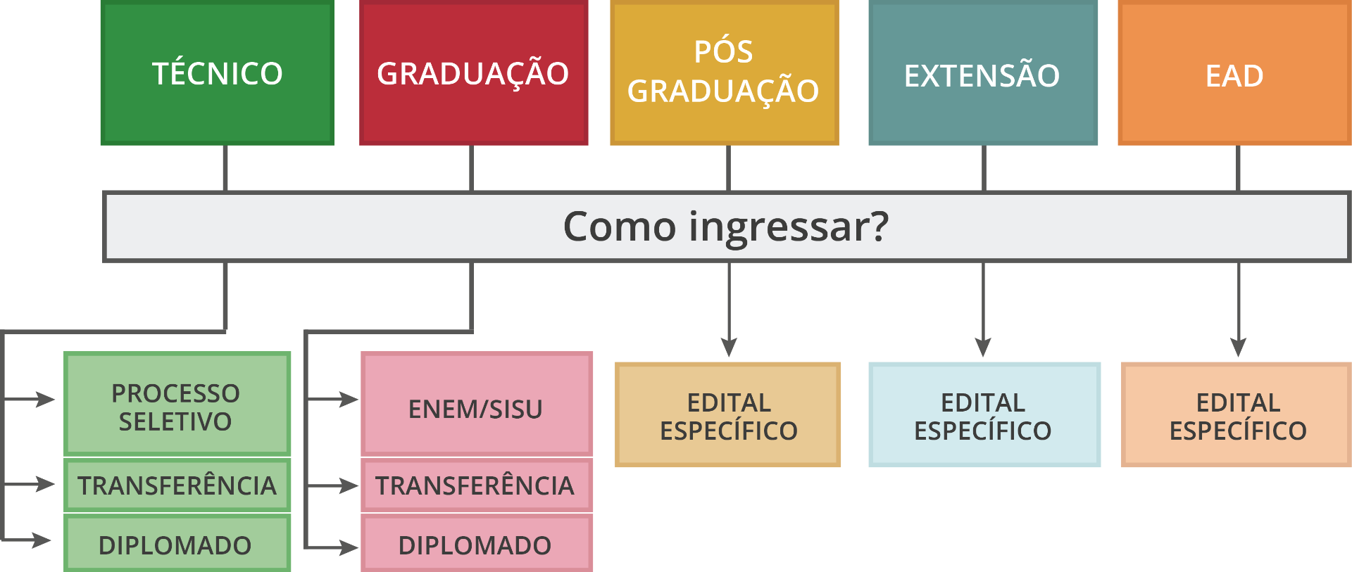 Infográfico cursos.png