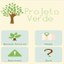 Projeto Verde