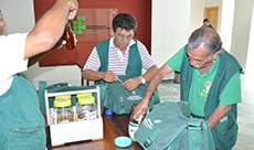 Ação dengue